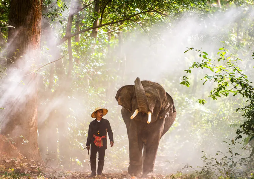 Super Best Places to Visit in Jim Corbett 2026