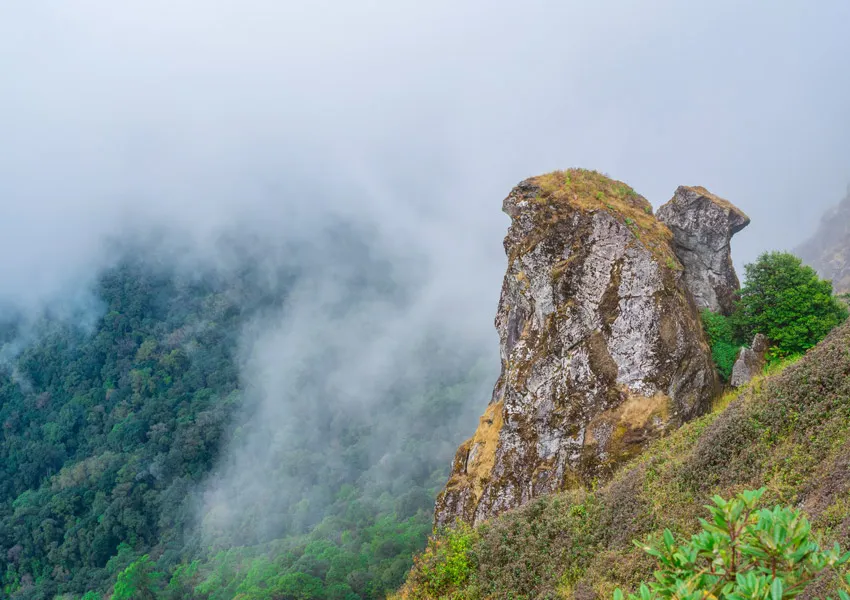 Hidden Gems to Visit in Bijrani Zone 2026