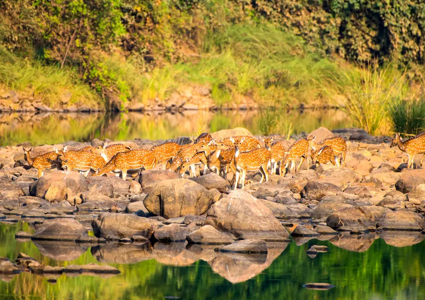 Best Authentic Places to Visit in Jim Corbett for Wildlife Lovers 2026