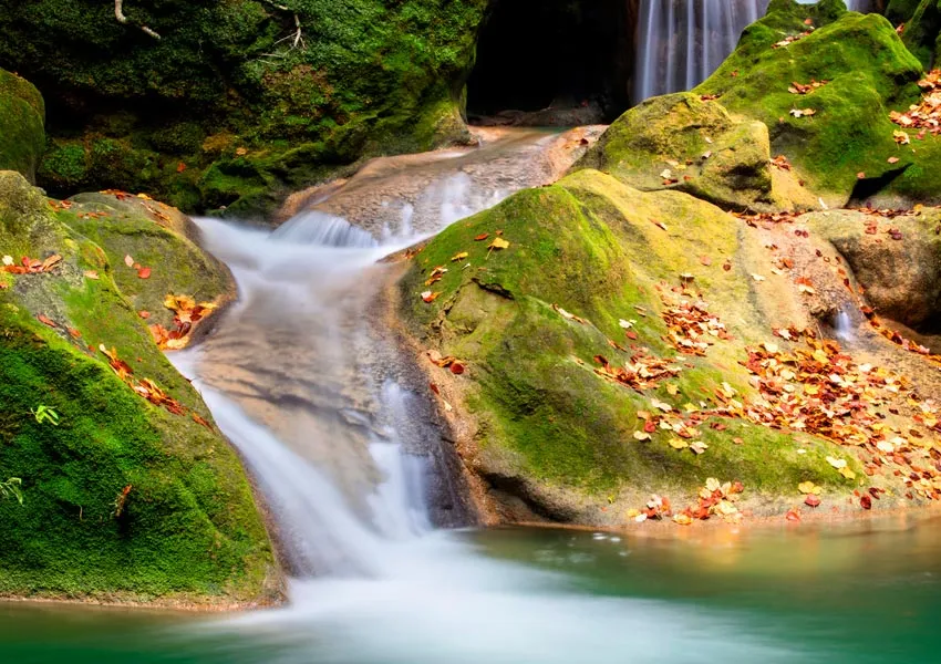 Most Popular Waterfalls to Witness in Jim Corbett National Park 2026