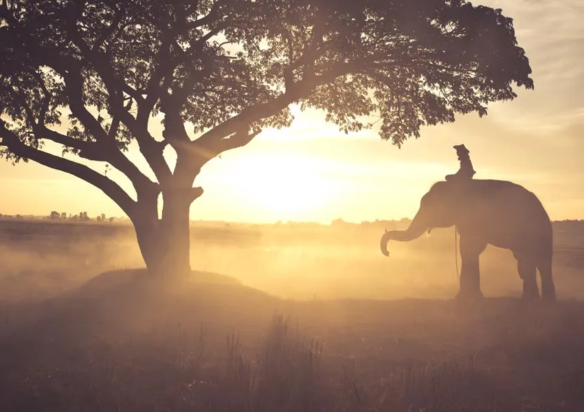 Latest Best Photogenic Spots in Jim Corbett 2026