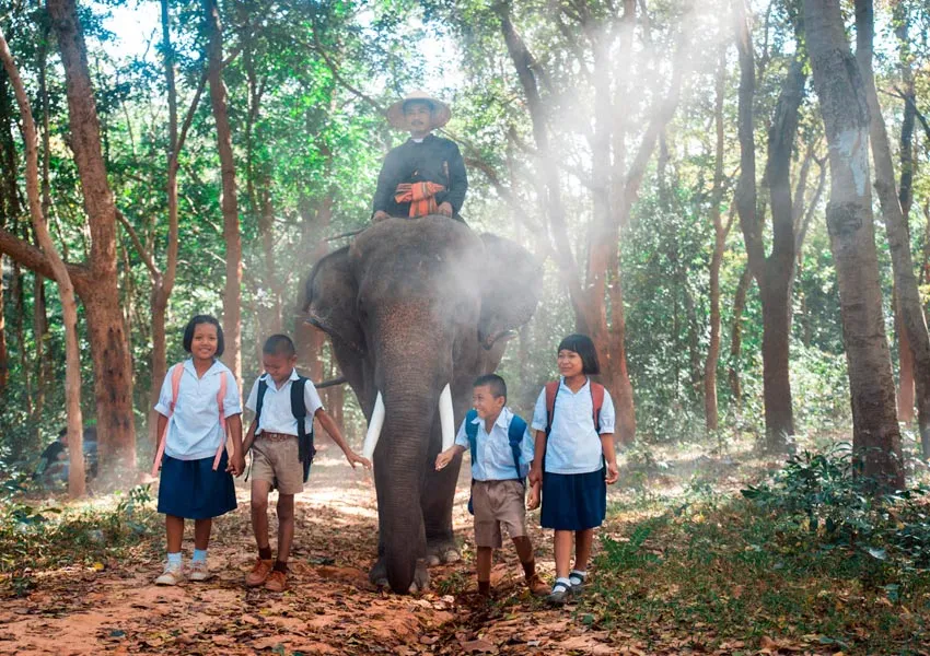 Top Attractions to Visit in Corbett for Kids – A Fun-Filled Family Wildlife Getaway