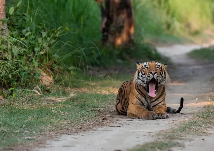 Best Destinations to Visit in Jim Corbett in 2 Days 2026