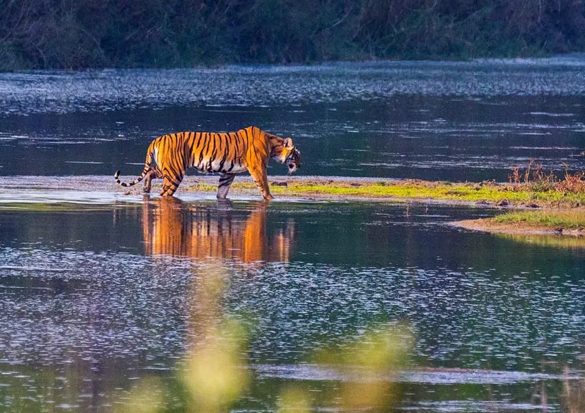 Hidden Gems to Visit in Jim Corbett for Wildlife Lovers 2025