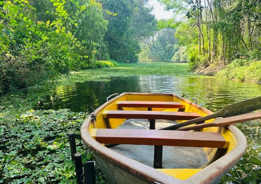 Tourists Favourite Spots to Visit in Mysore in 1 Day 2026