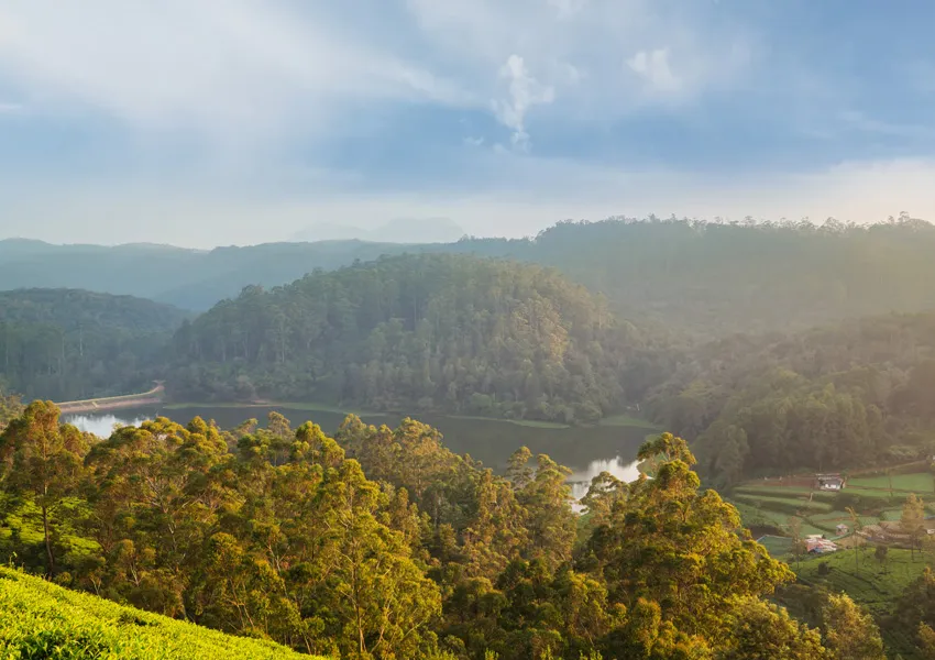 Most Desirable Places to Visit in Ooty 2026