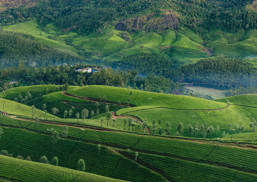 Most Desirable Places to Visit in Ooty 2026